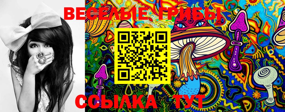 Галлюциногенные грибы MAGIC MUSHROOMS Карачаевск